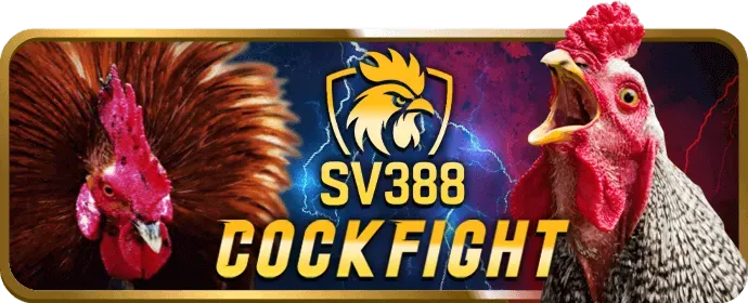 Tổng quan các ưu đãi 678win Nổ Hũ